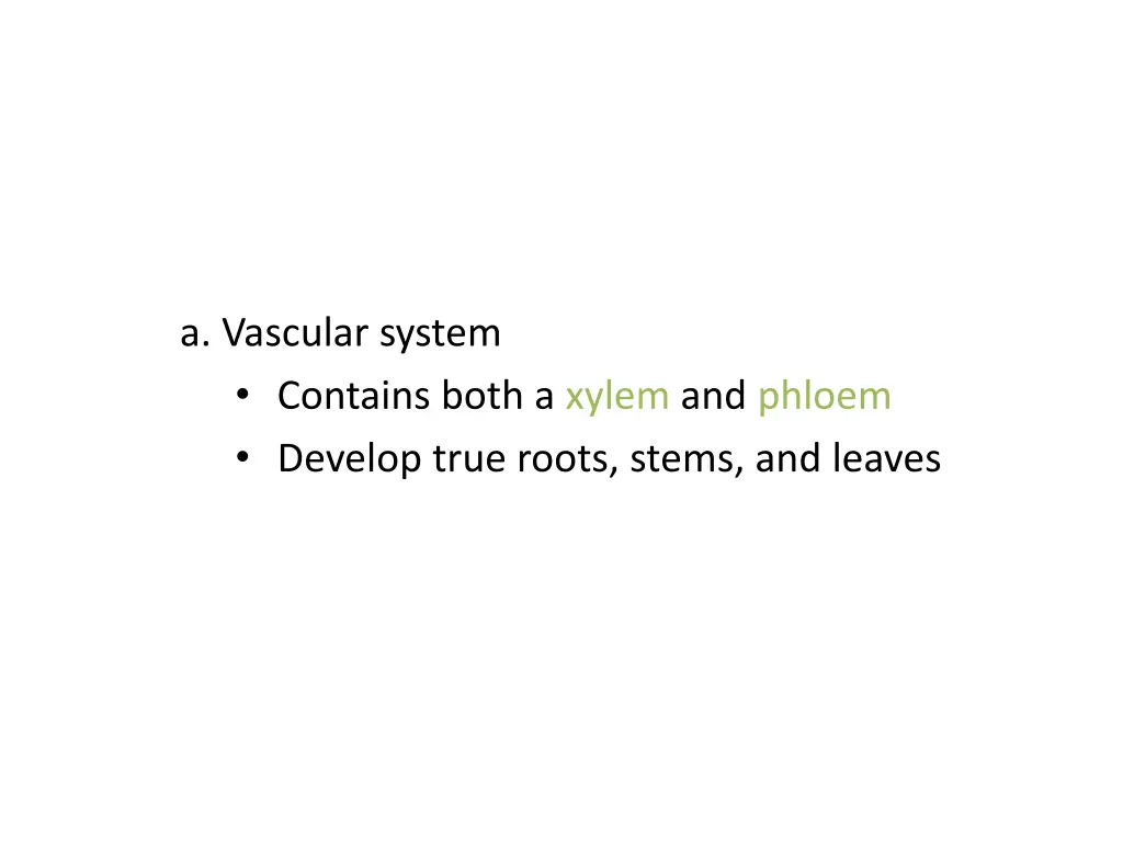 a vascular system contains both a xylem