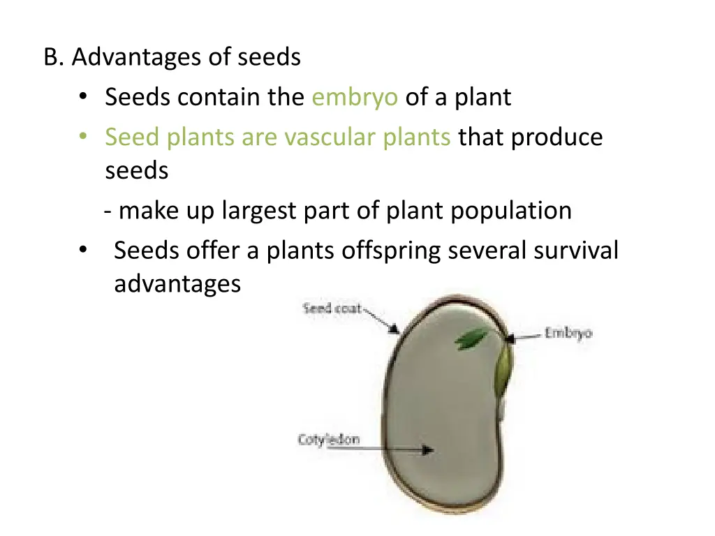 b advantages of seeds seeds contain the embryo