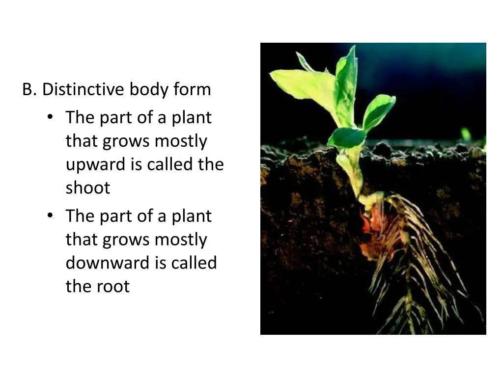 b distinctive body form the part of a plant that