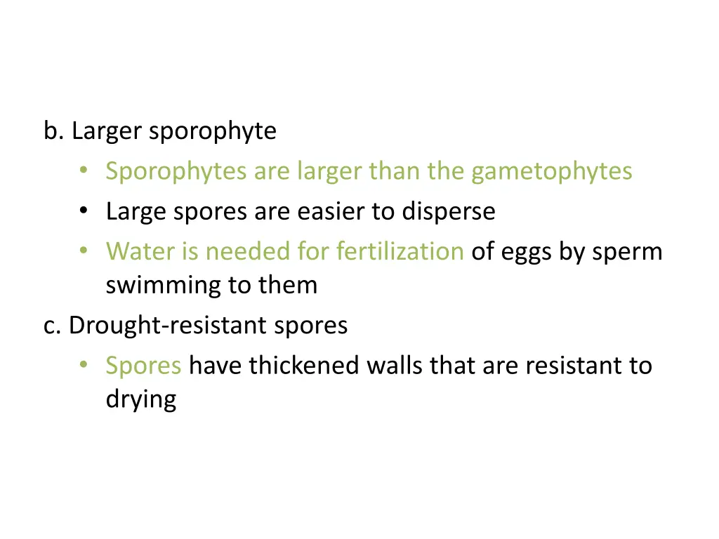 b larger sporophyte sporophytes are larger than