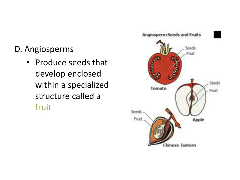 d angiosperms produce seeds that develop enclosed