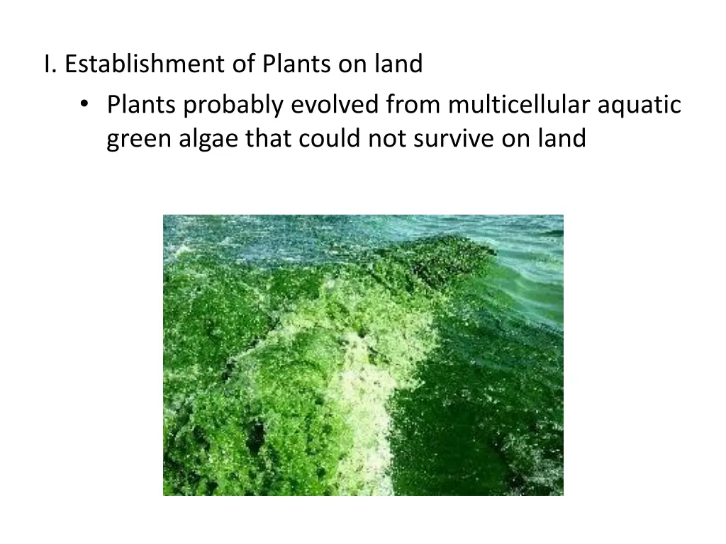 i establishment of plants on land plants probably