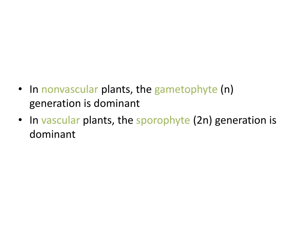 in nonvascular plants the gametophyte