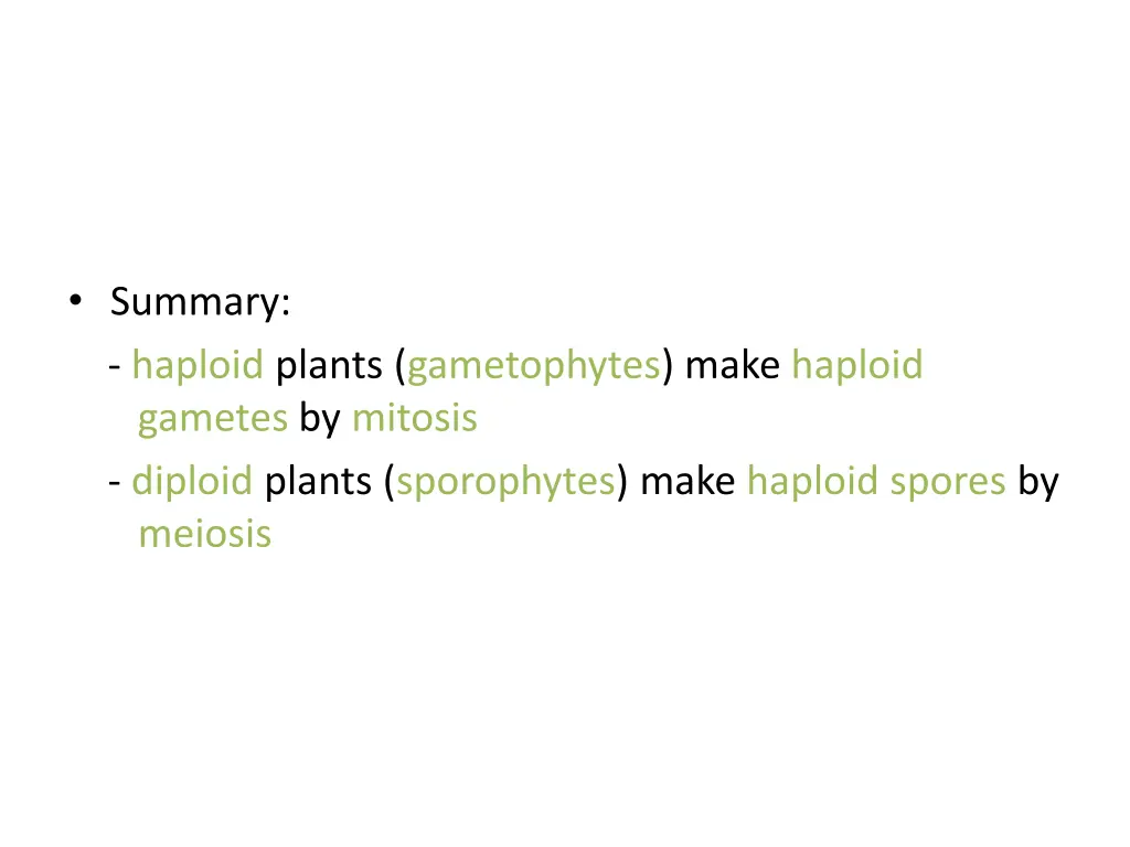 summary haploid plants gametophytes make haploid