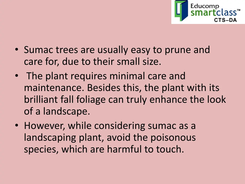 sumac trees are usually easy to prune and care