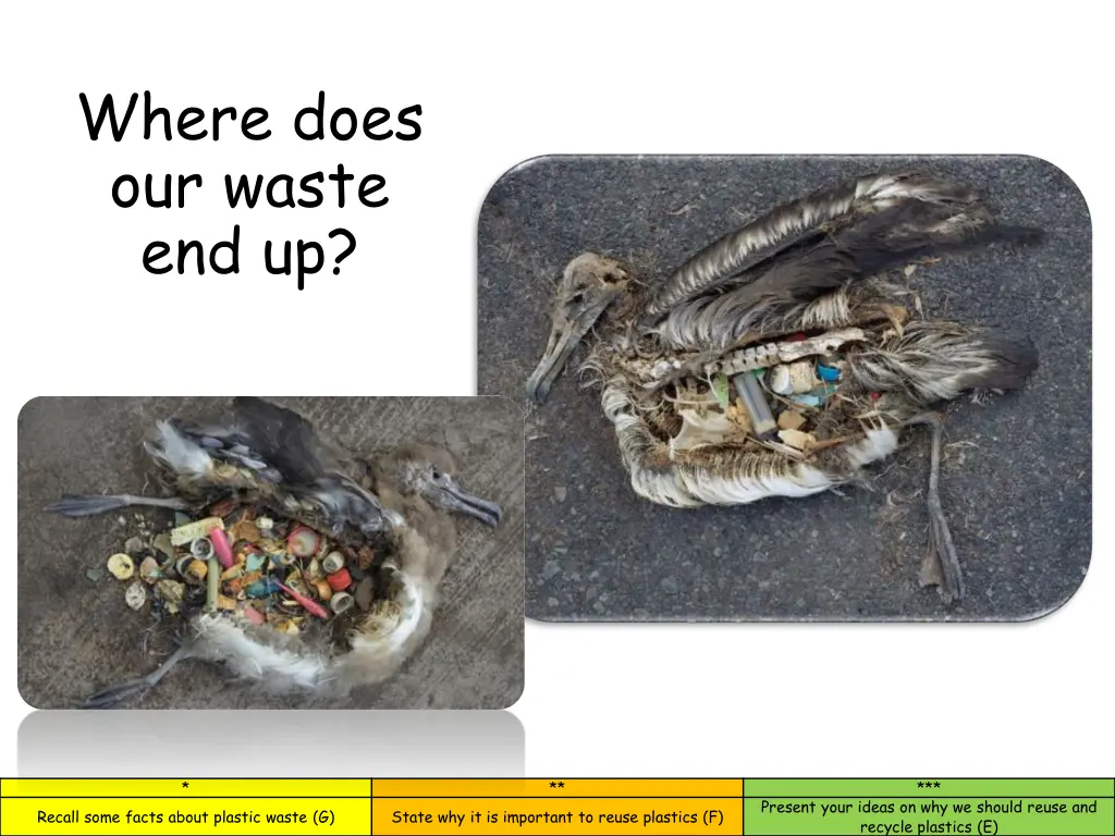 where does our waste end up