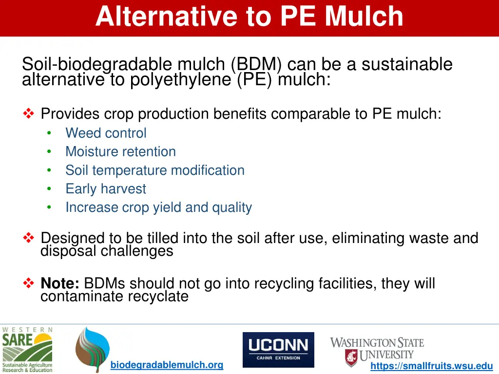 alternative to pe mulch