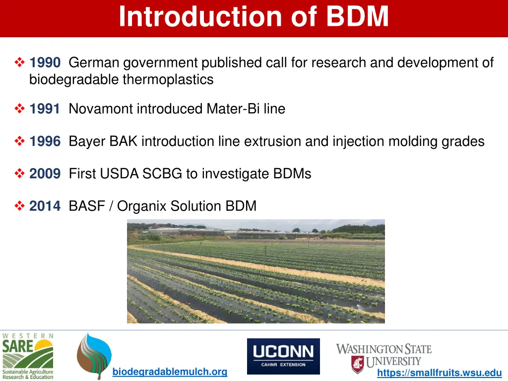 introduction of bdm