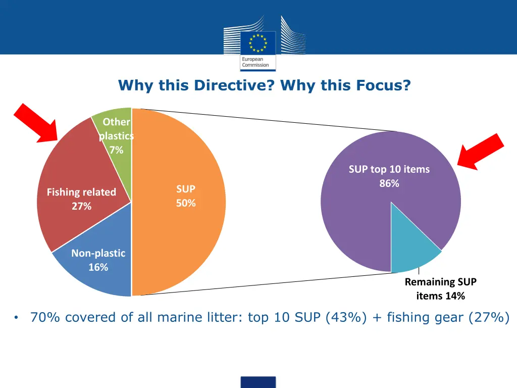 why this directive why this focus