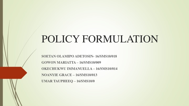 policy formulation