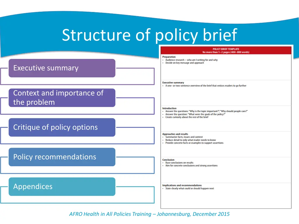 structure of policy brief