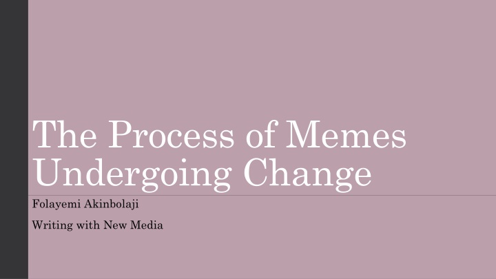 the process of memes undergoing change folayemi