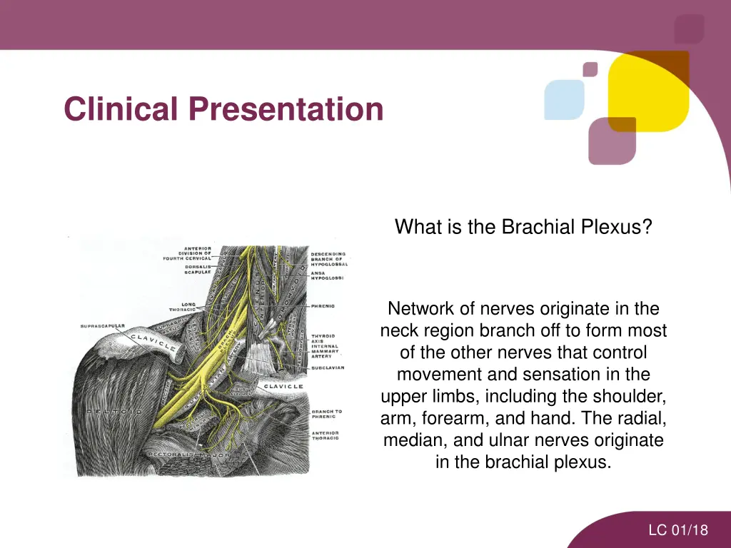 clinical presentation