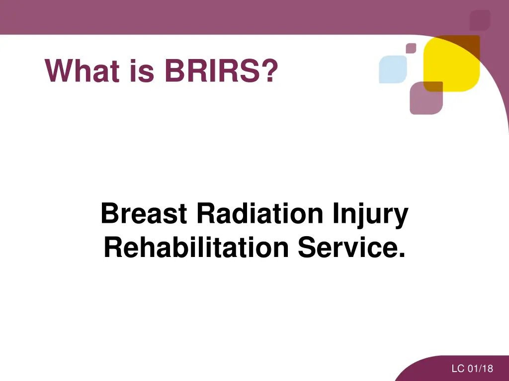 what is brirs