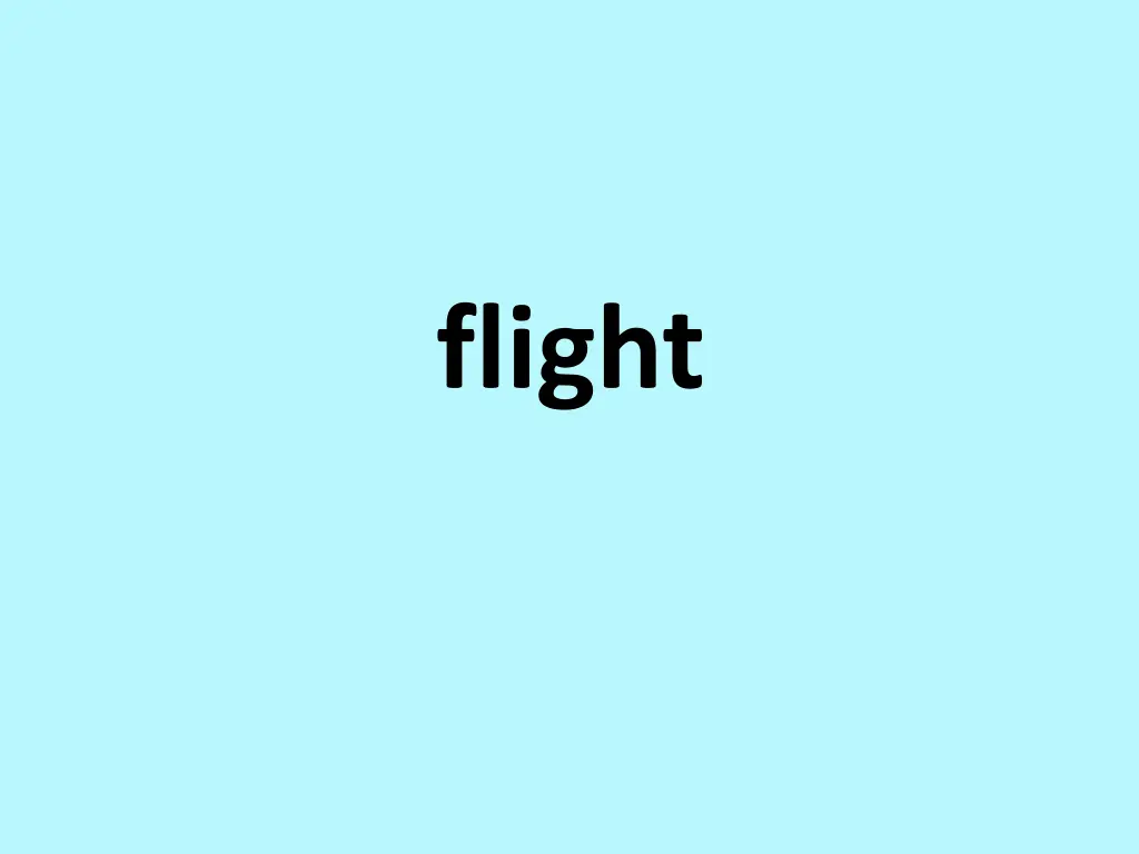 flight