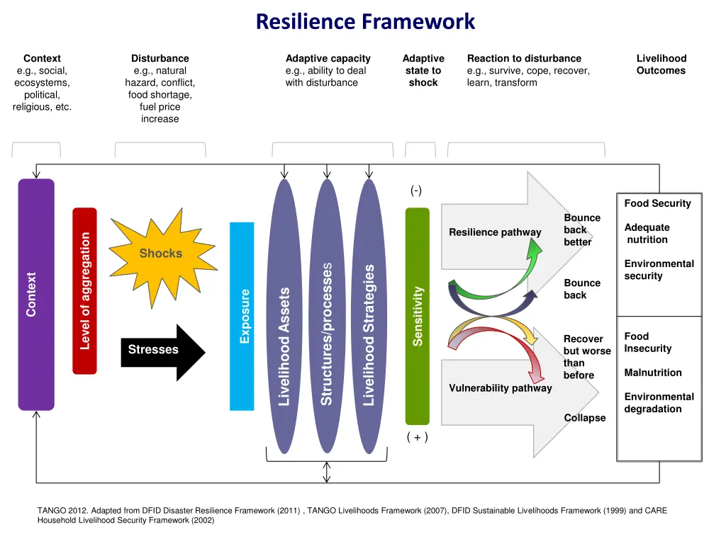 resilience framework