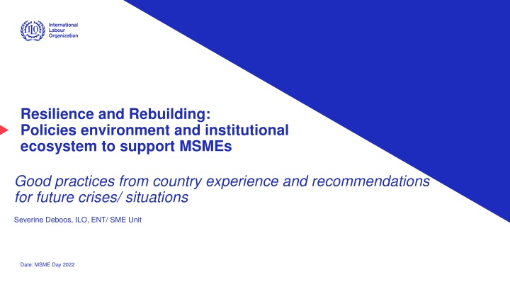 resilience and rebuilding policies environment