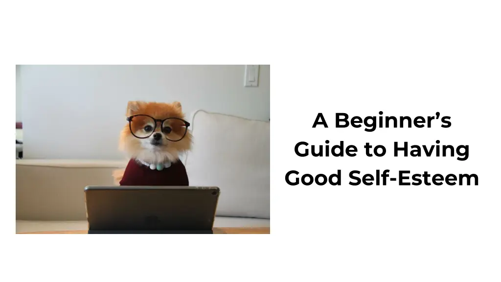 a beginner s guide to having good self esteem