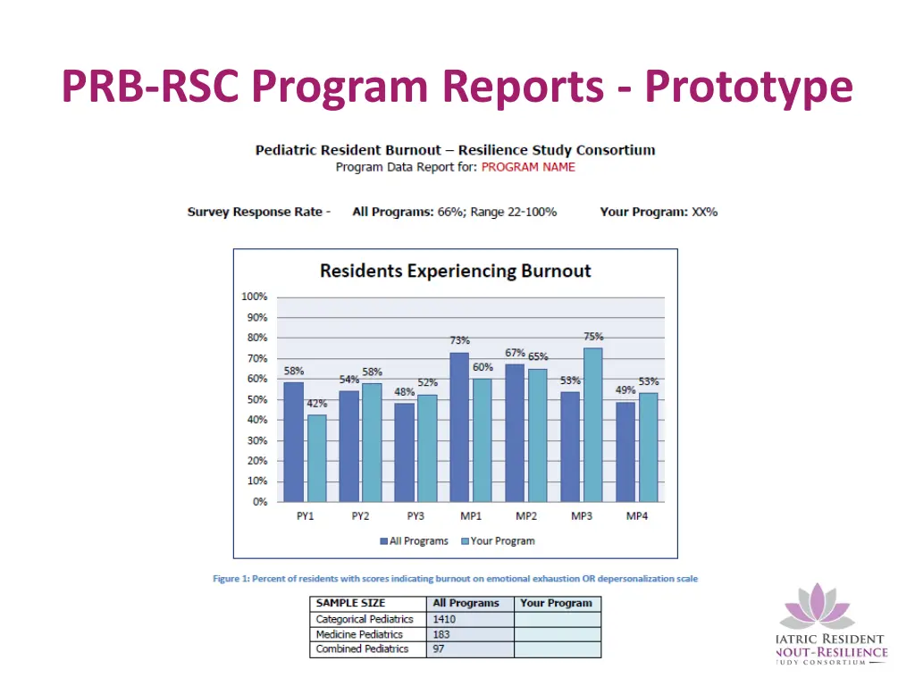 prb rsc program reports prototype