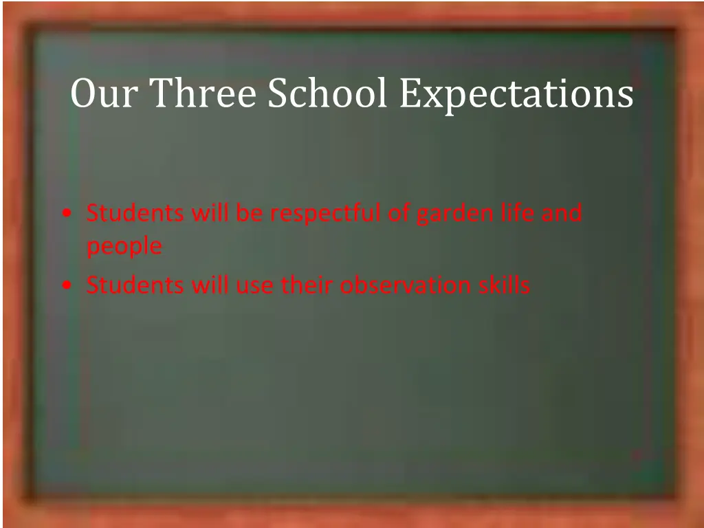 our three school expectations