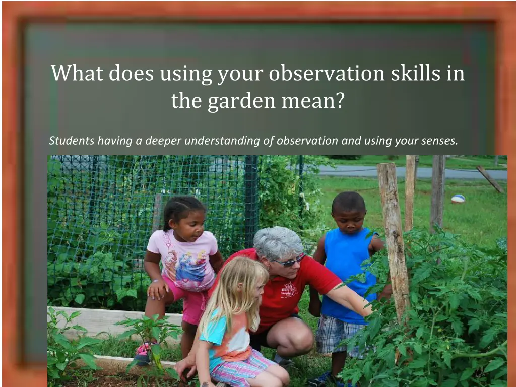 what does using your observation skills