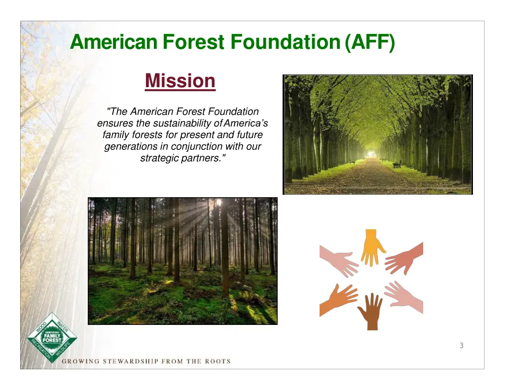 american forest foundation aff