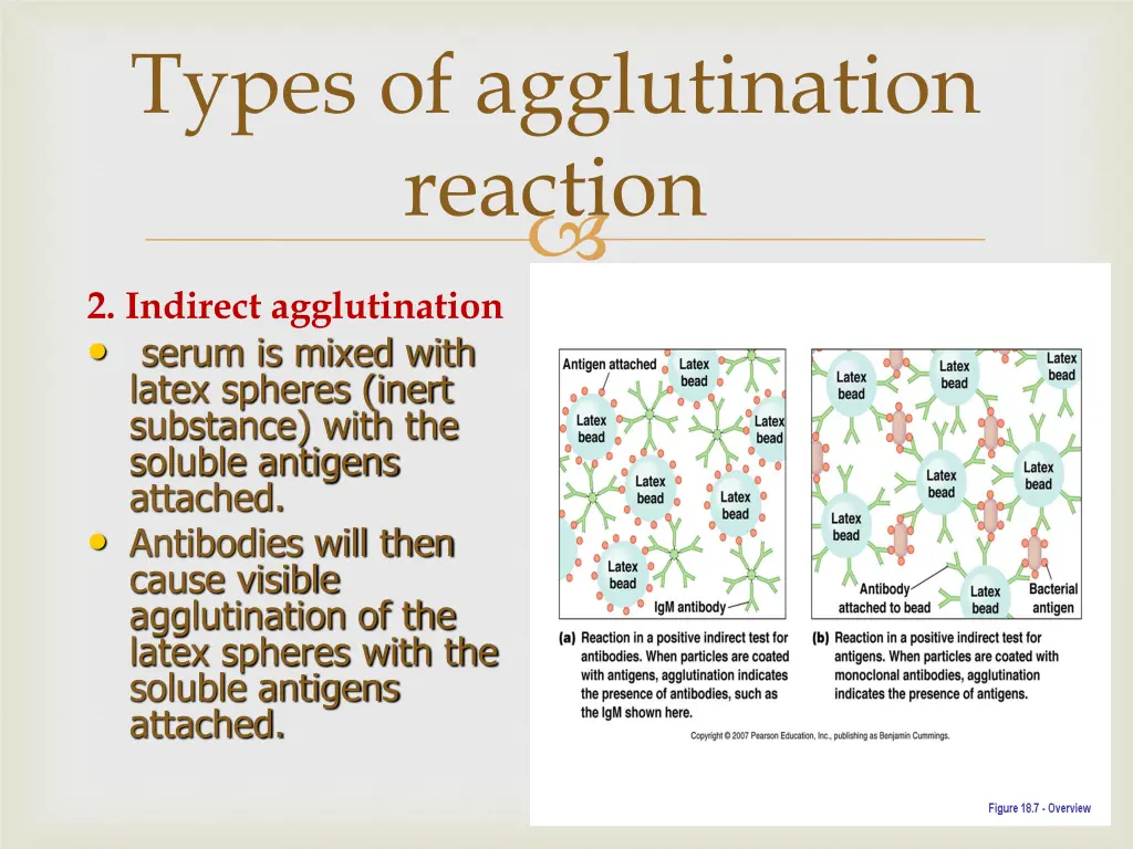 types of agglutination reaction 1