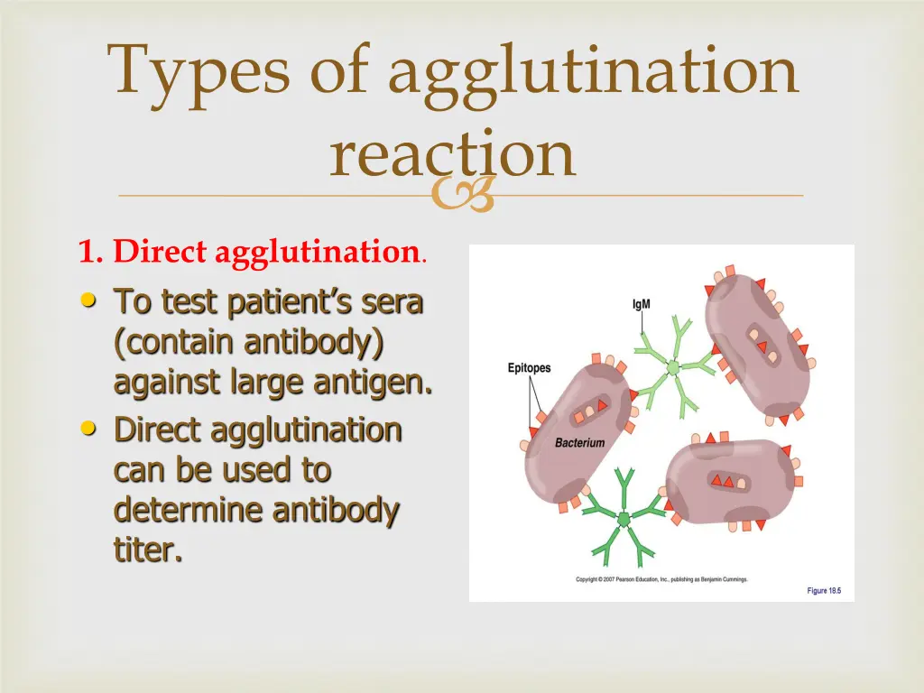 types of agglutination reaction