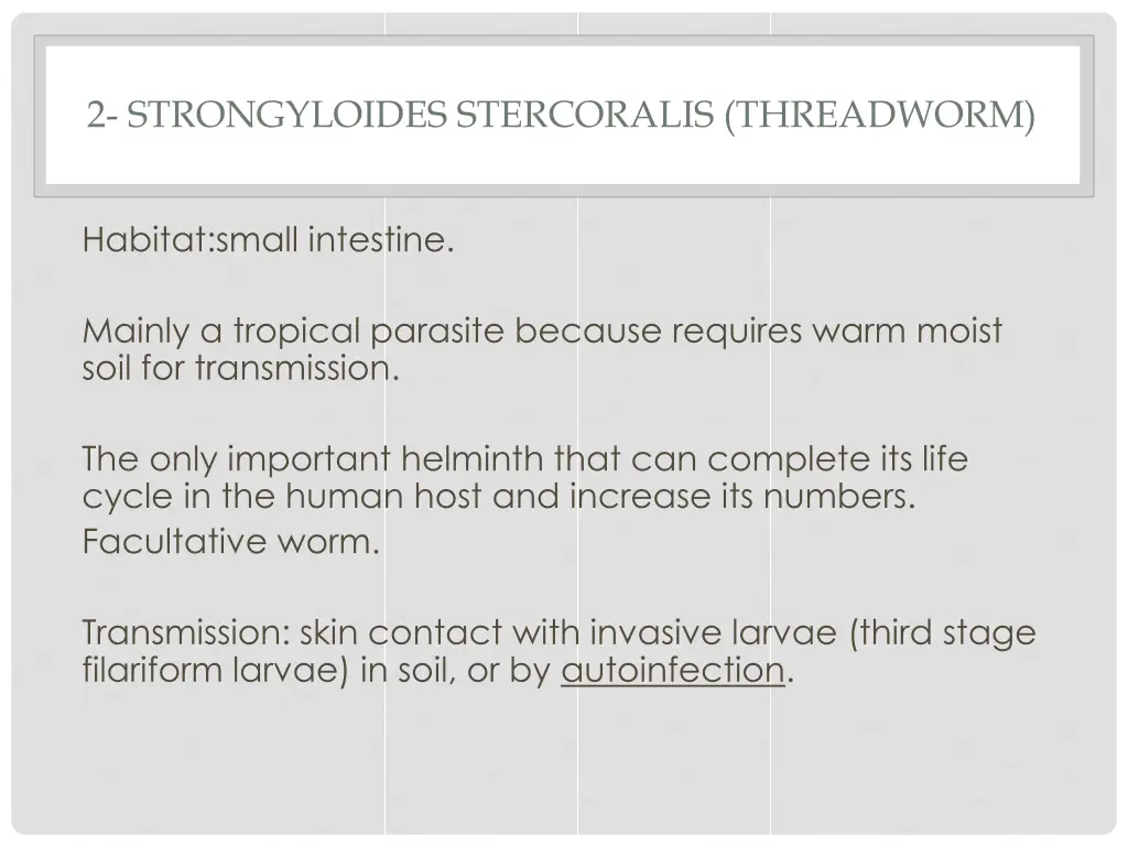 2 strongyloides stercoralis threadworm