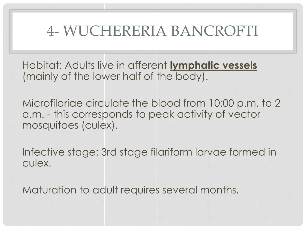 4 wuchereria bancrofti