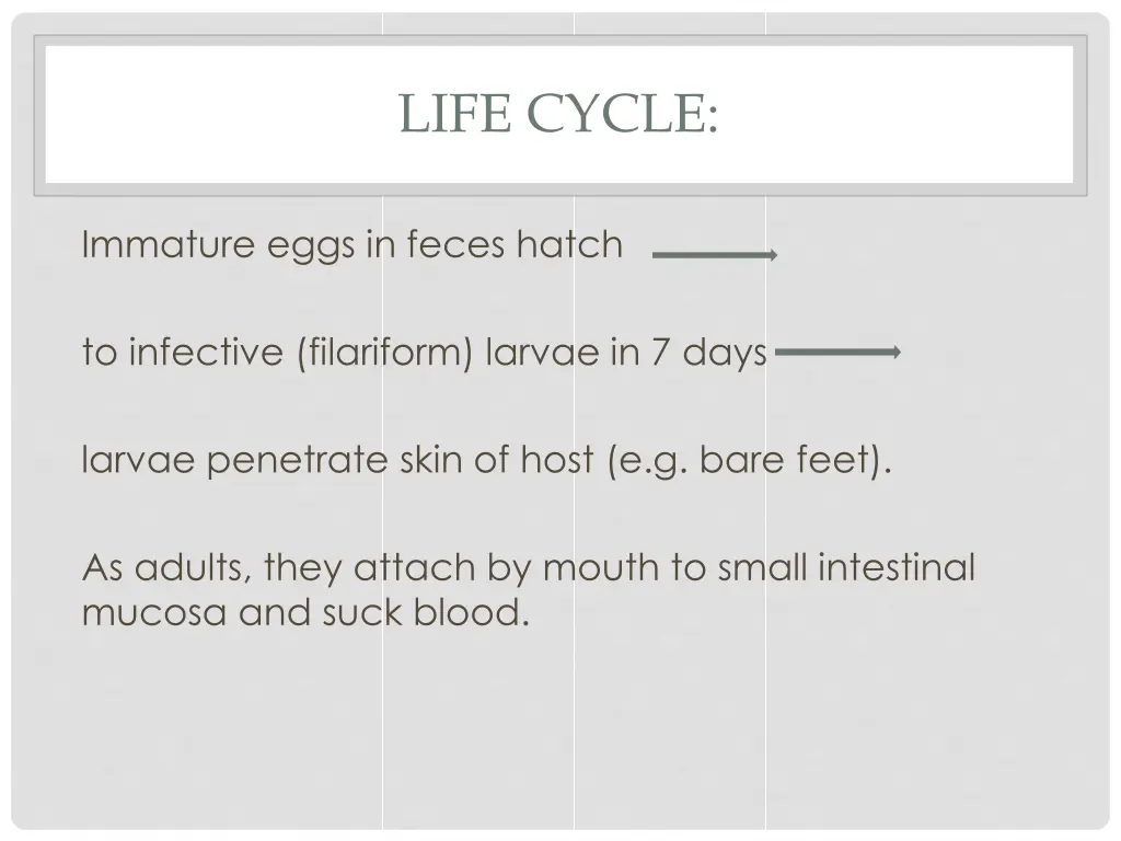 life cycle 2