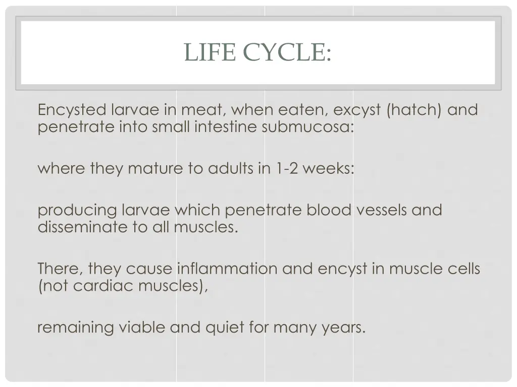 life cycle 3