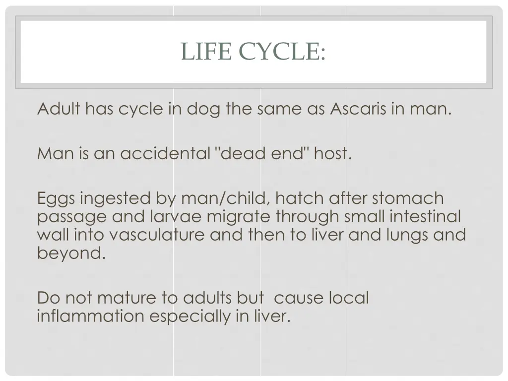 life cycle 4