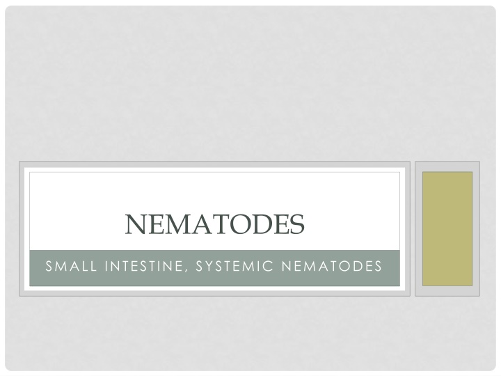 nematodes