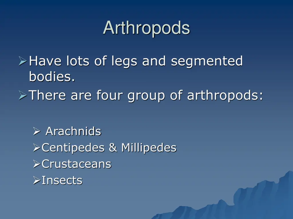 arthropods