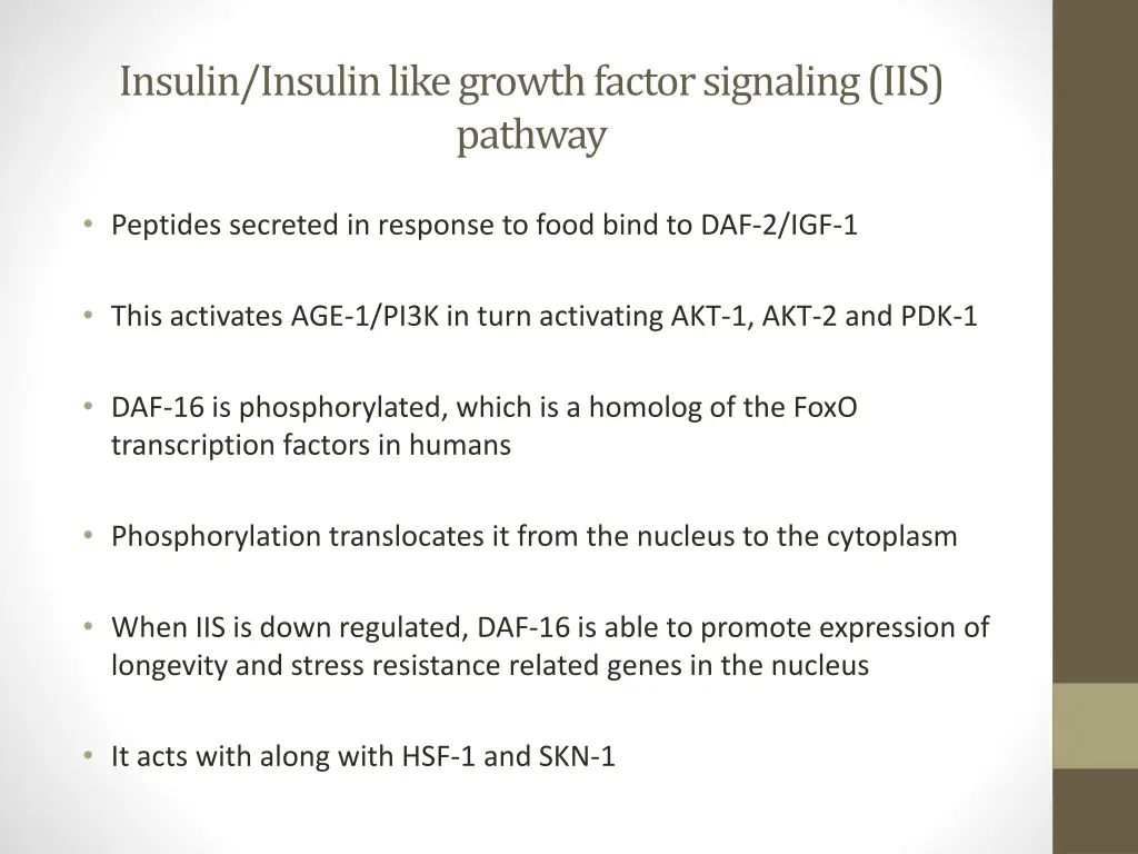 insulin insulin like growth factor signaling