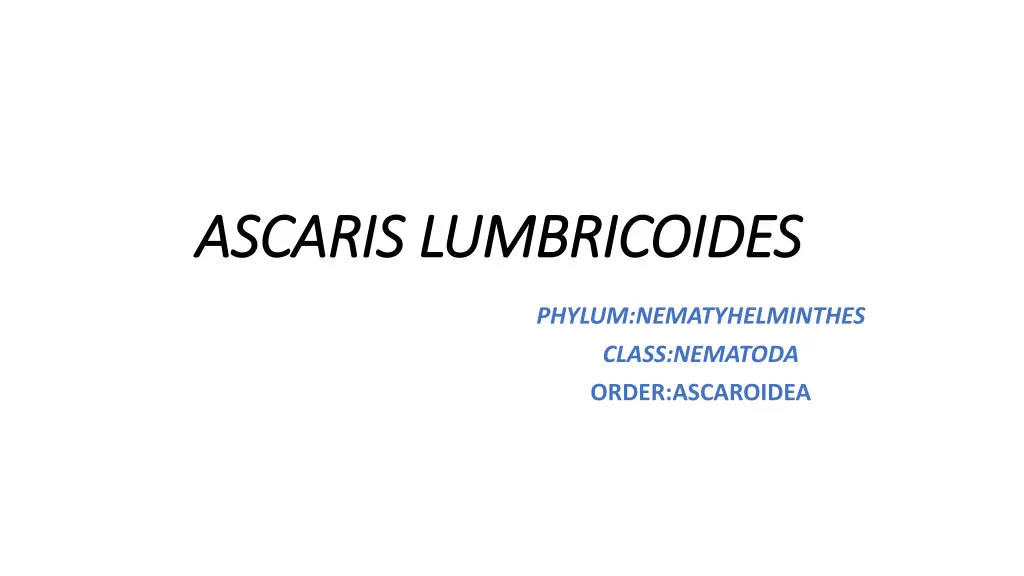 ascaris lumbricoides ascaris lumbricoides