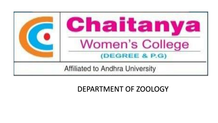 department of zoology