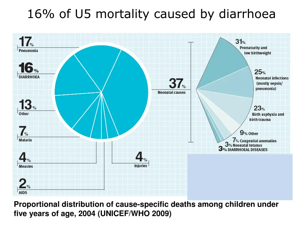 16 of u5 mortality caused by diarrhoea