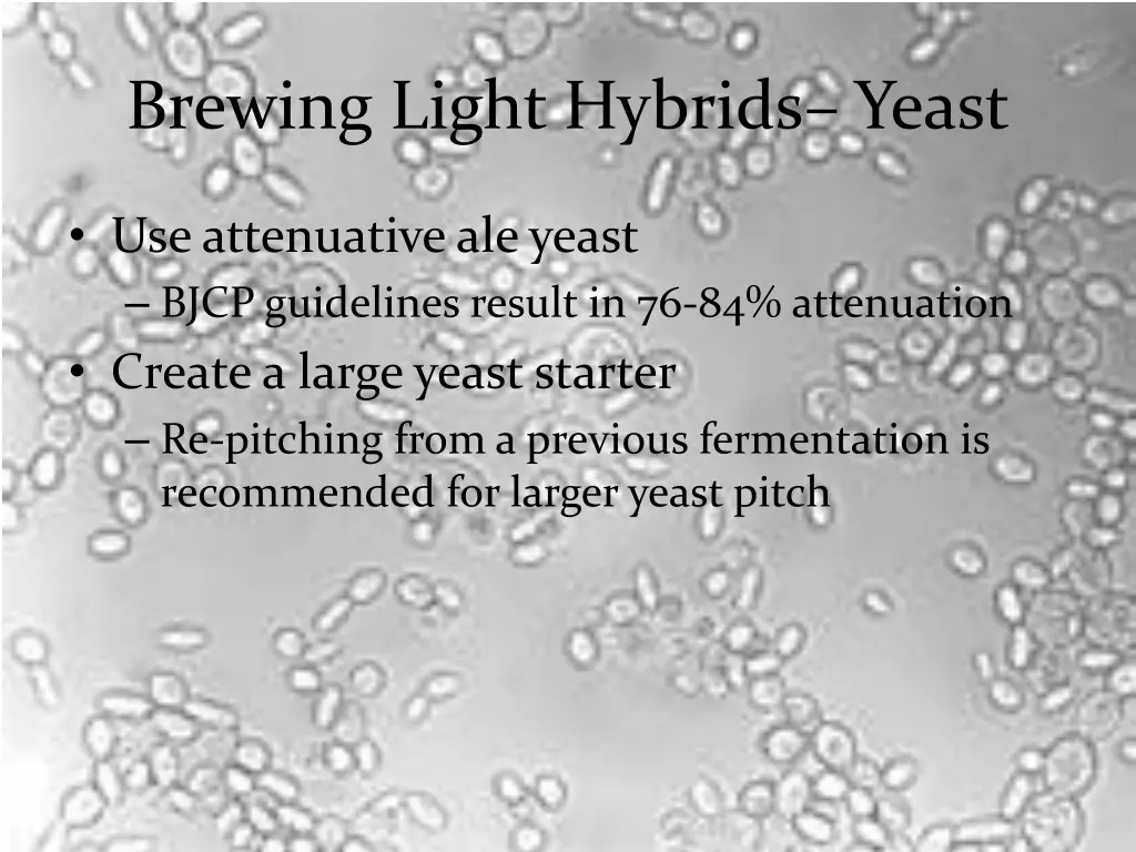 brewing light hybrids yeast