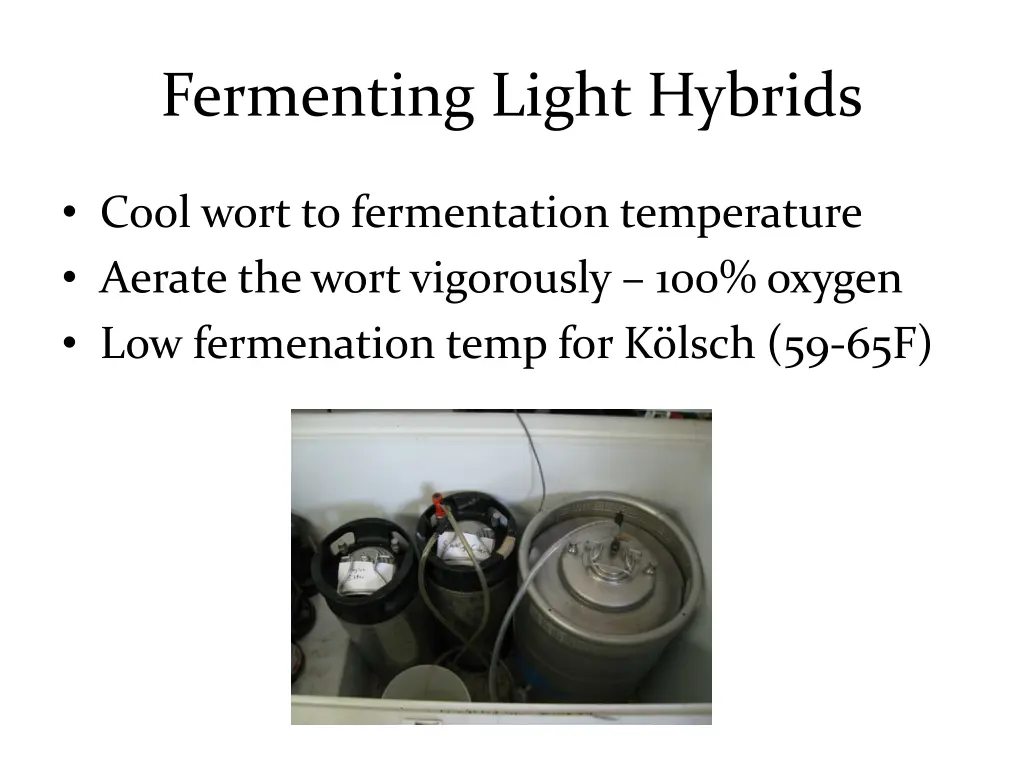 fermenting light hybrids