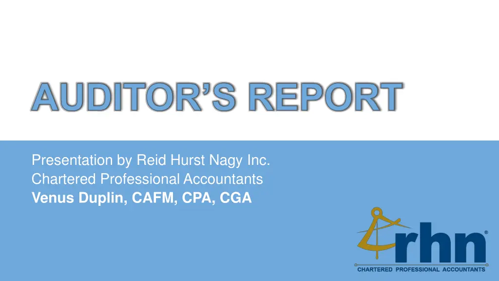 auditor s report