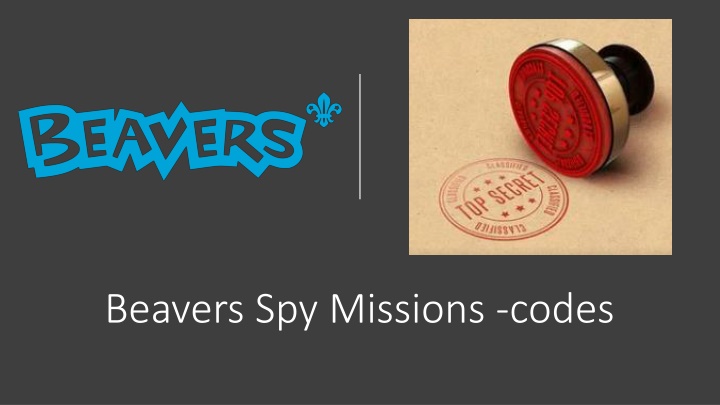 beavers spy missions codes