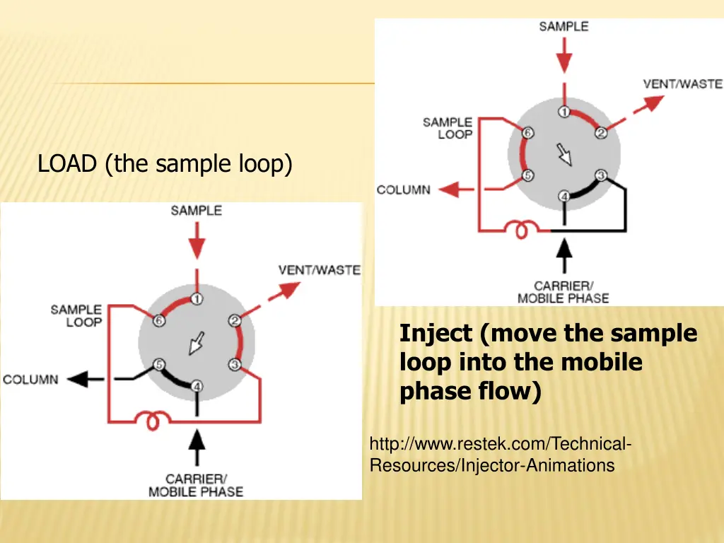 load the sample loop