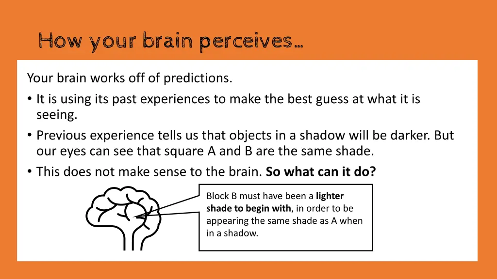 how your brain perceives