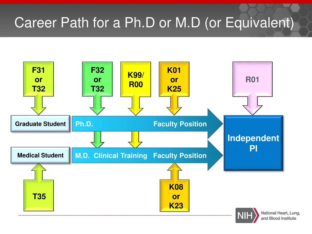 career path for a ph d or m d or equivalent