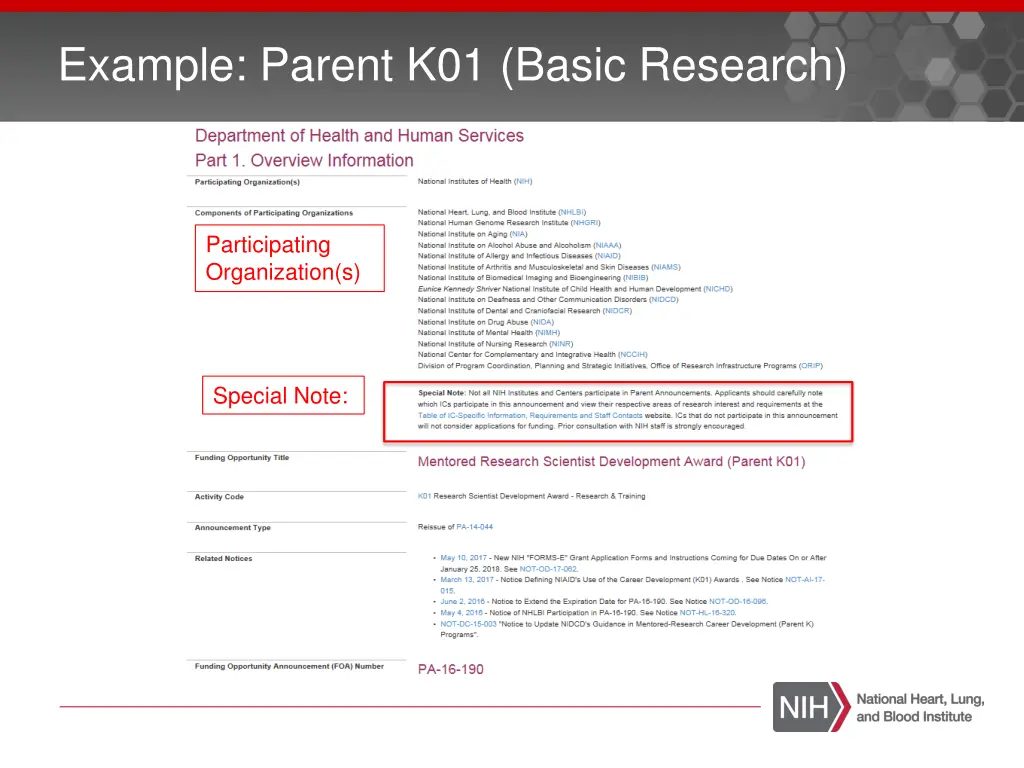 example parent k01 basic research