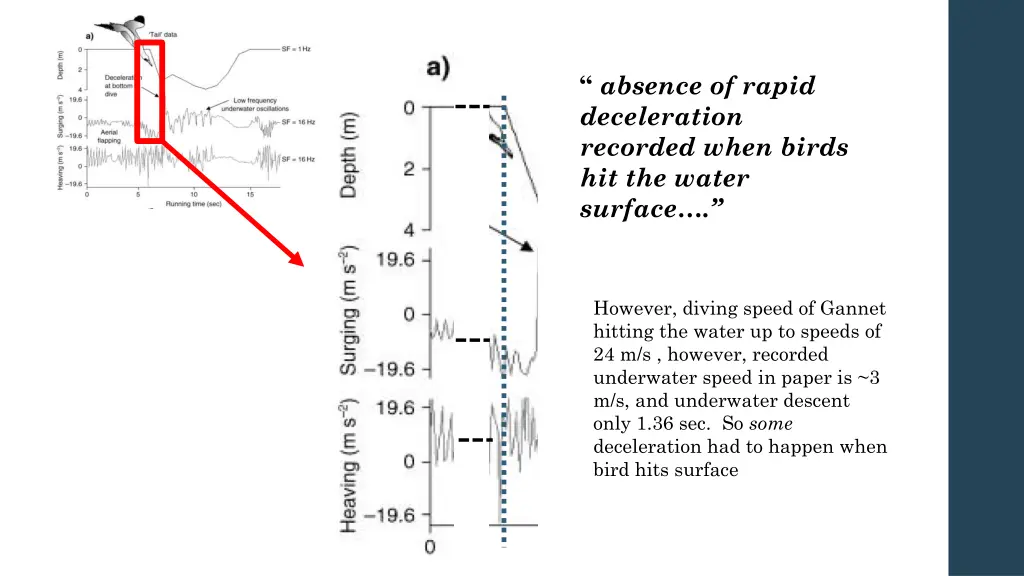 absence of rapid deceleration recorded when birds