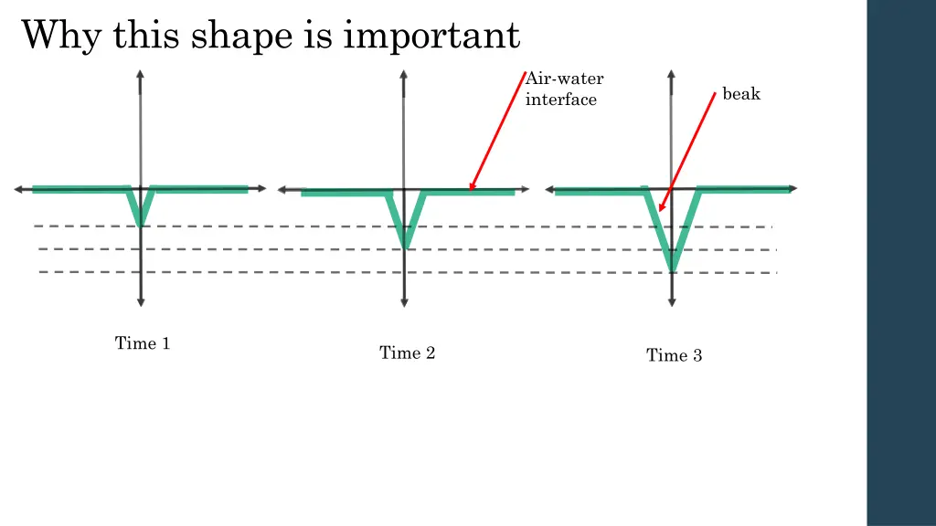 why this shape is important