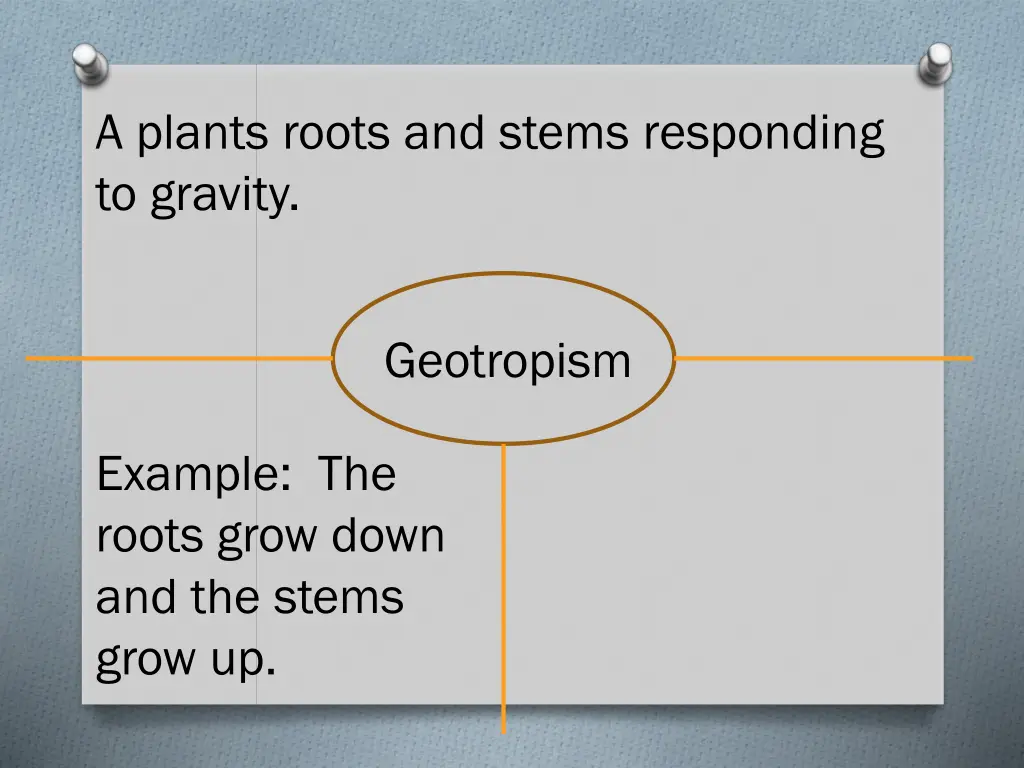 a plants roots and stems responding to gravity